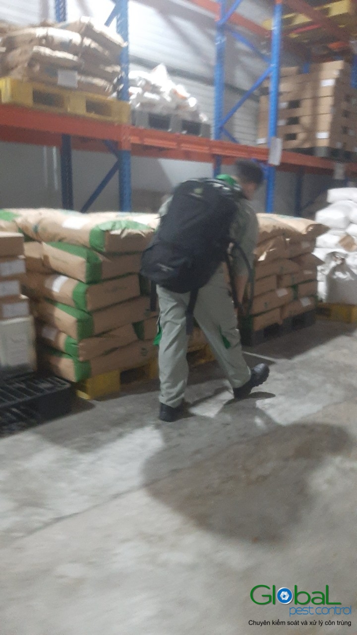 Phun diệt côn trùng định kỳ