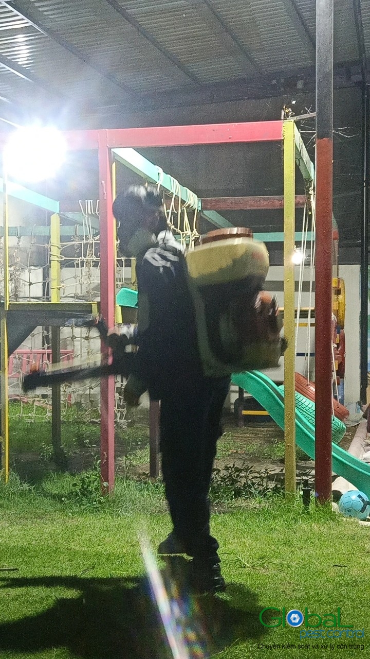 Phun diệt côn trùng định kỳ