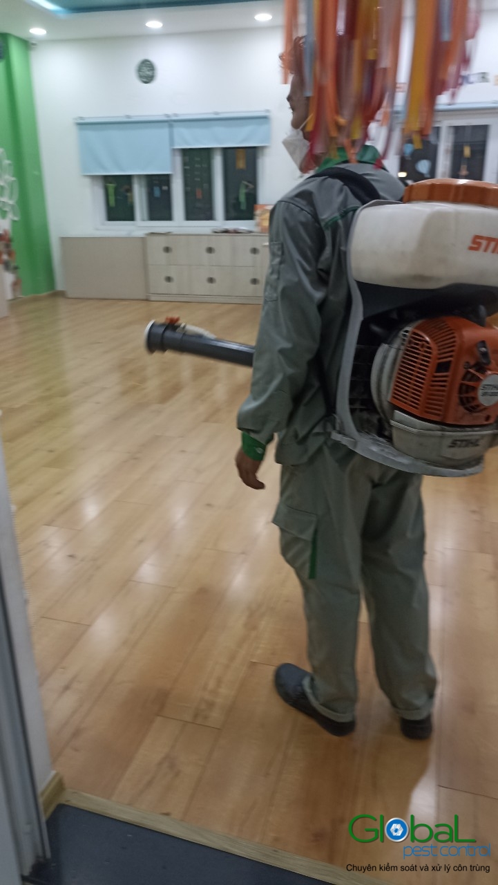 Phun diệt côn trùng định kỳ