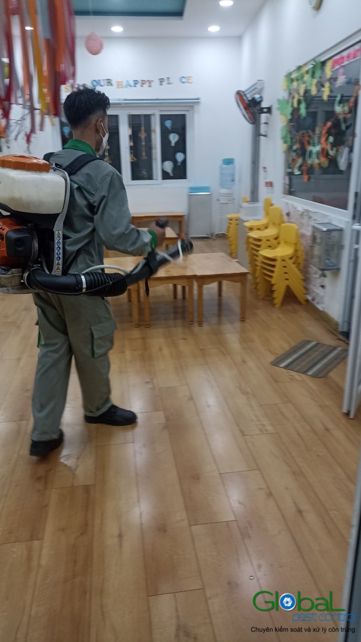 Phun diệt côn trùng định kỳ