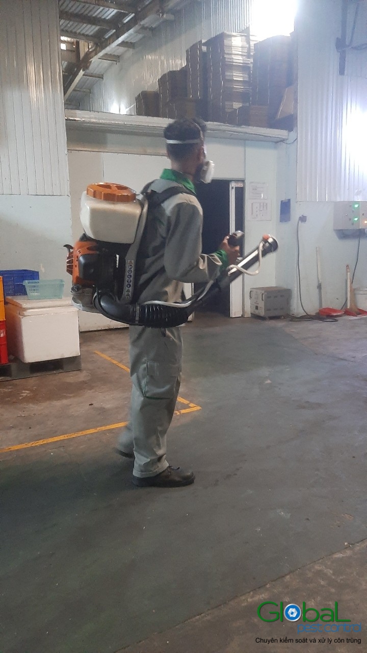 Phun diệt côn trùng định kỳ