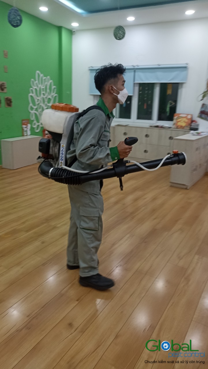 Phun diệt côn trùng định kỳ