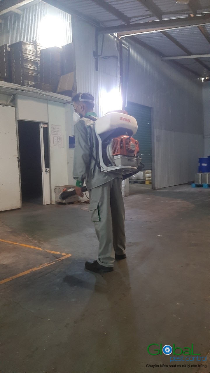Phun diệt côn trùng định kỳ
