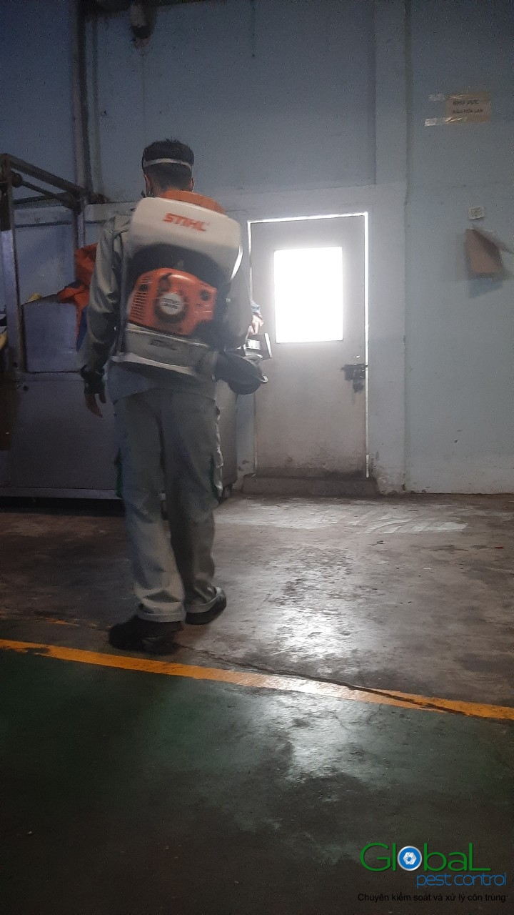 Phun diệt côn trùng định kỳ