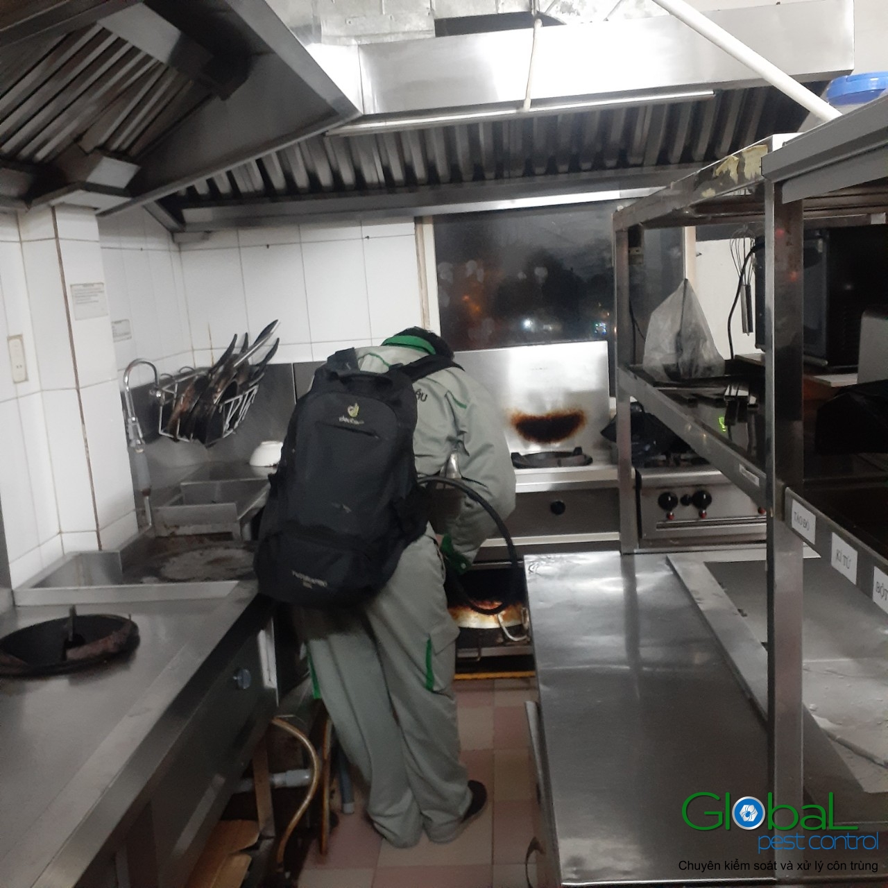 Phun diệt côn trùng định kỳ