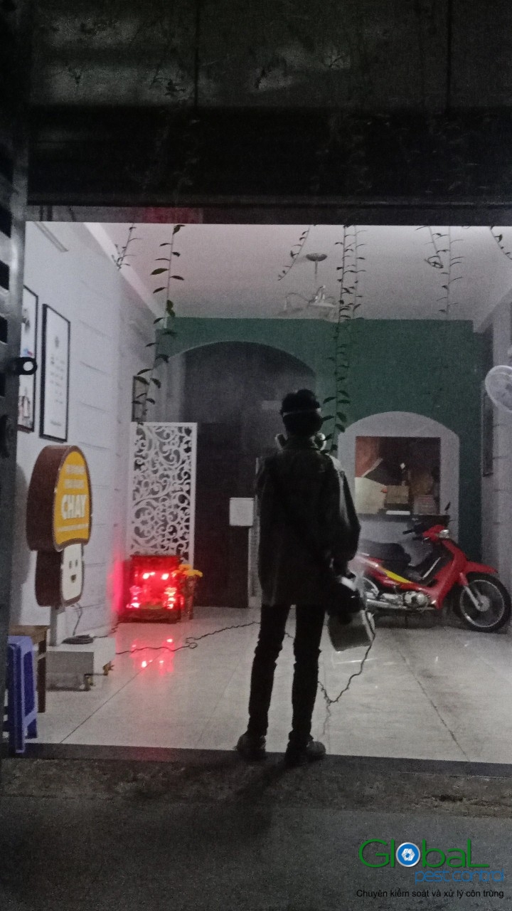 Phun diệt côn trùng định kỳ