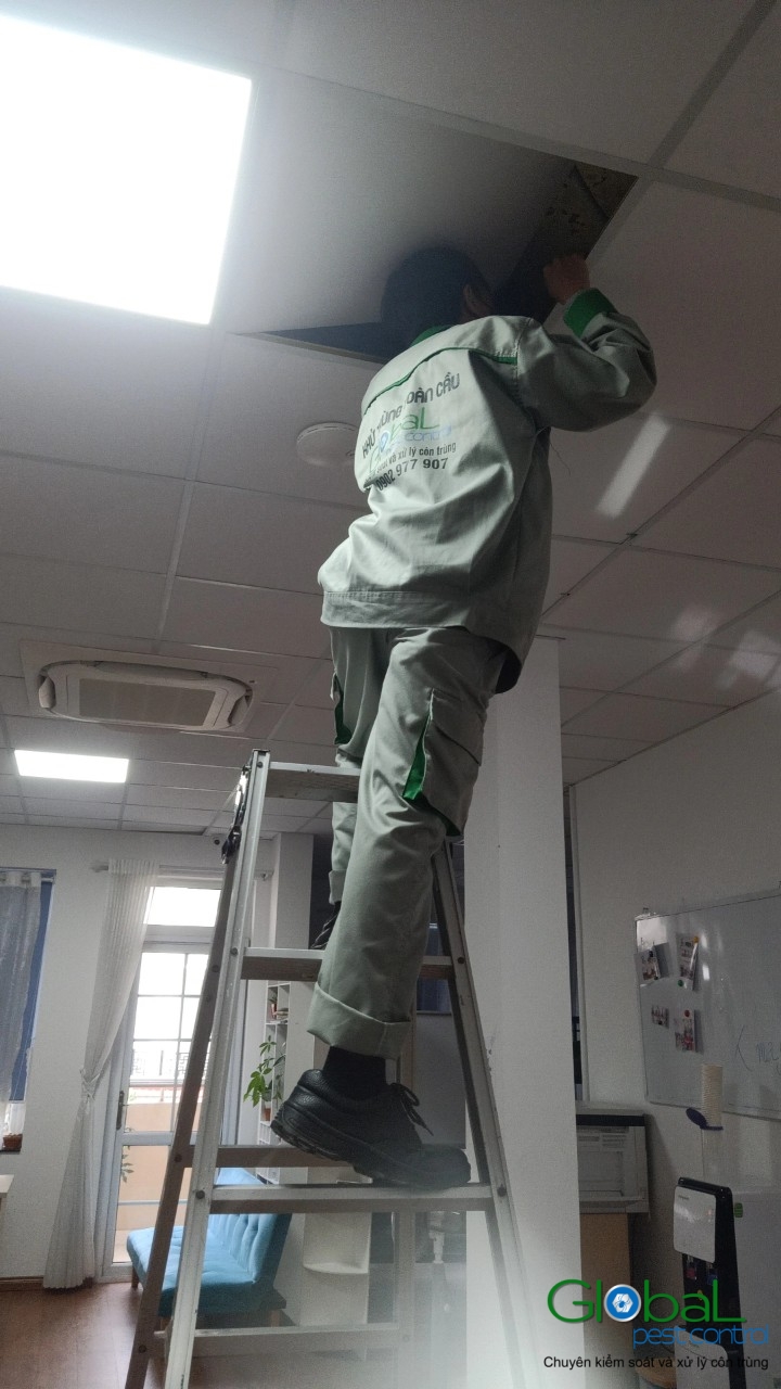 Phun diệt côn trùng định kỳ