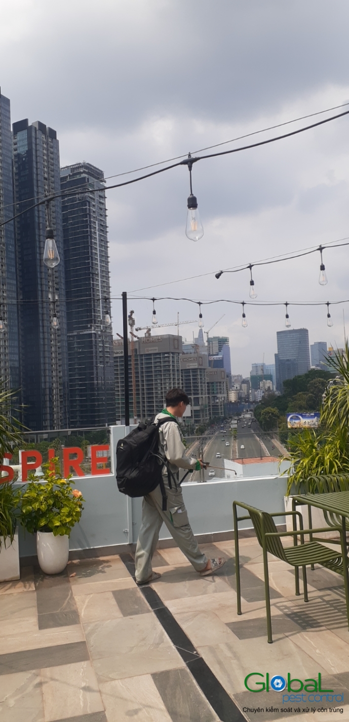 Phun diệt côn trùng định kỳ