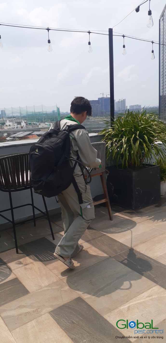 Phun diệt côn trùng định kỳ