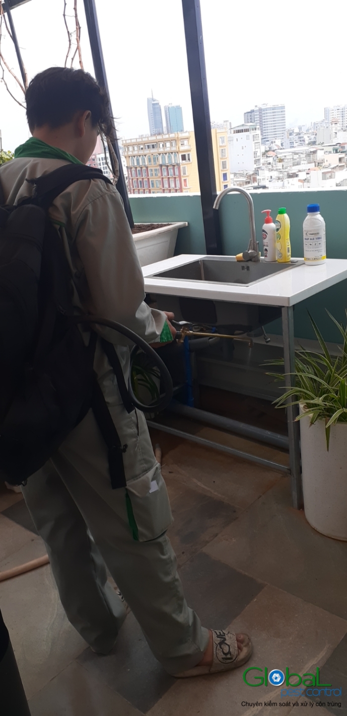 Phun diệt côn trùng định kỳ