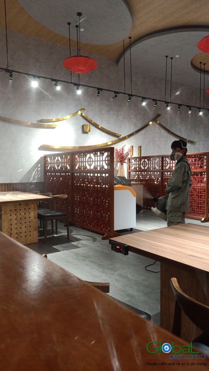 Phun diệt côn trùng định kỳ