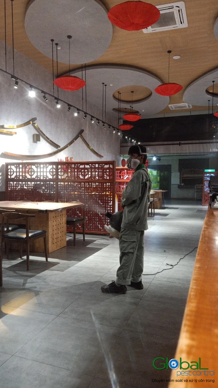 Phun diệt côn trùng định kỳ