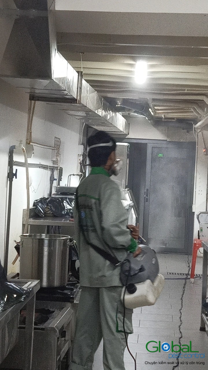 Phun diệt côn trùng định kỳ