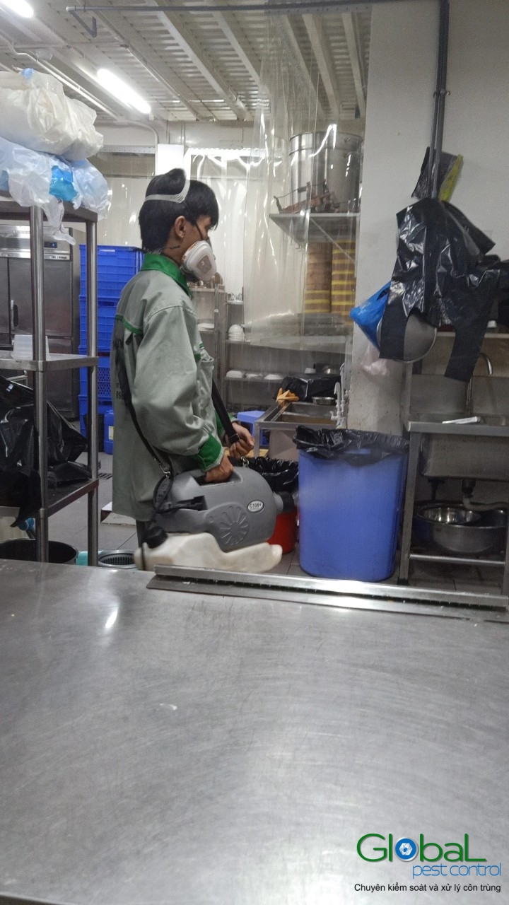 Phun diệt côn trùng định kỳ