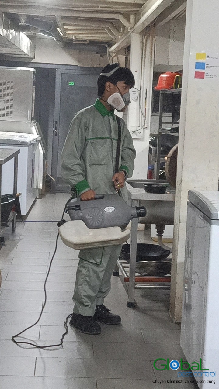 Phun diệt côn trùng định kỳ