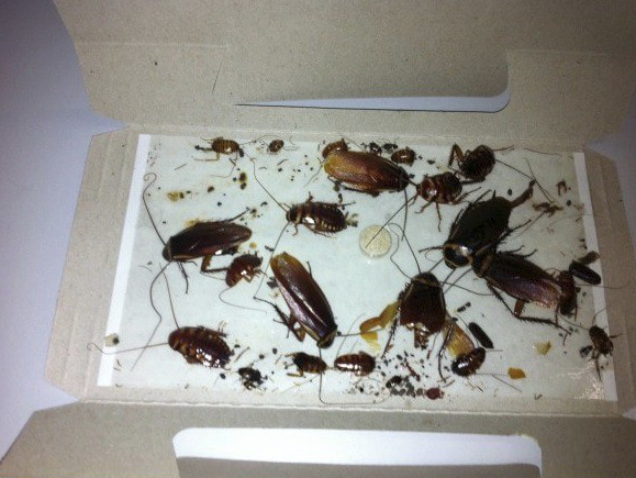 screenshot 1681489645