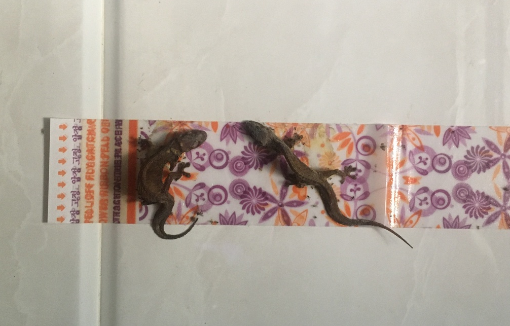 screenshot 1681490471