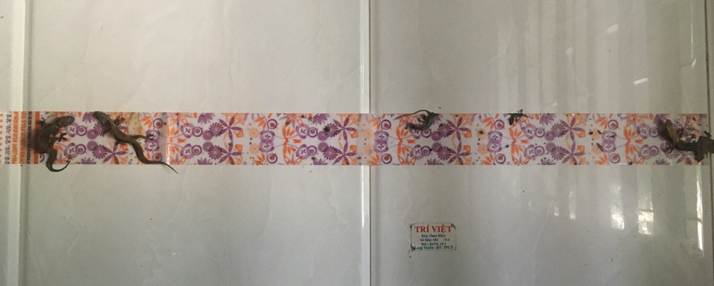 screenshot 1681490489