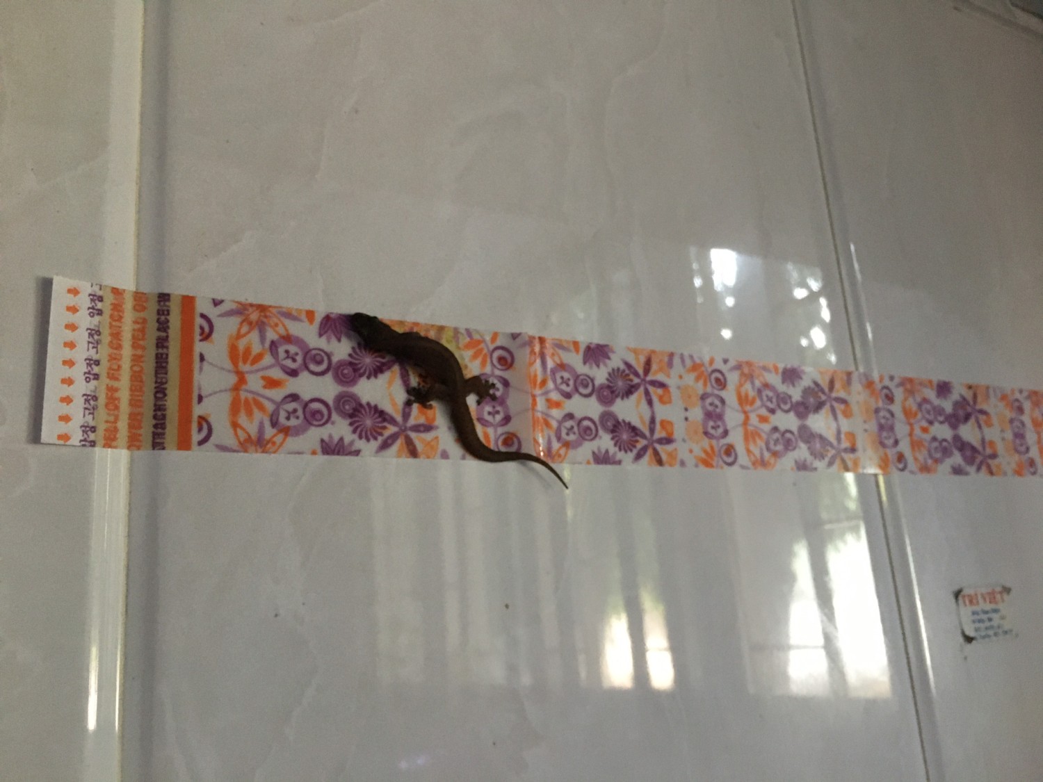 z24170673185602d9d2083643c7eb6bdcab1f8c7ce0fff 9689