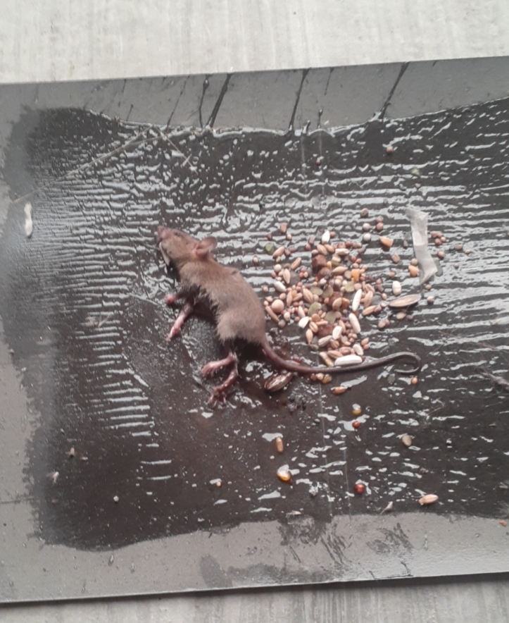 z4149135889621 8fe05b738ea2a9e9fdc58e611c82f8aa