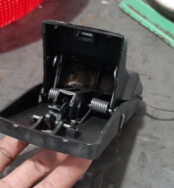 z4245483294737 e897408031beec3bcb5a03671c58e57f