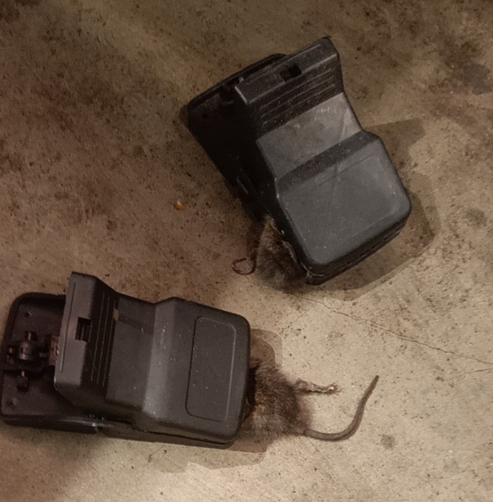 z4251521743677 4371d65e3b93ed3a5ceb14f839e81202