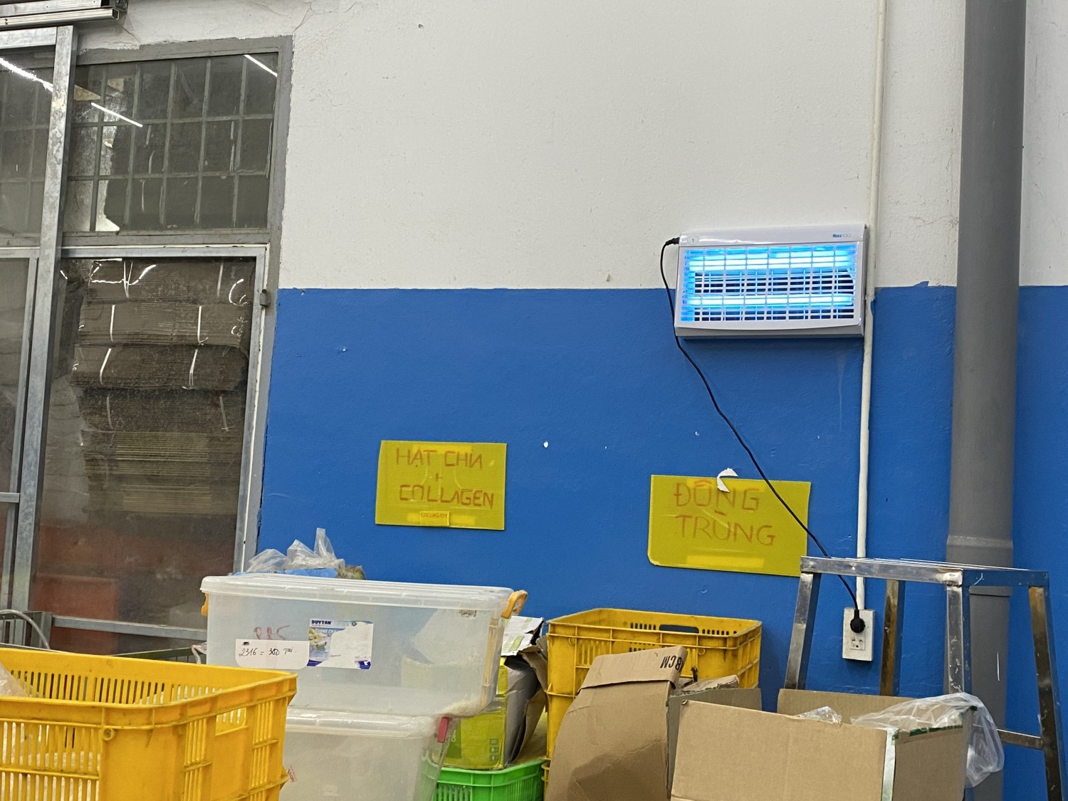 z4265260626276 3ae58d8c5cf2d689539d1e531e2864cd