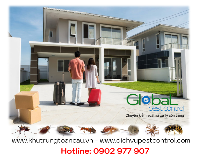 xử lý côn trùng cho nhà mới