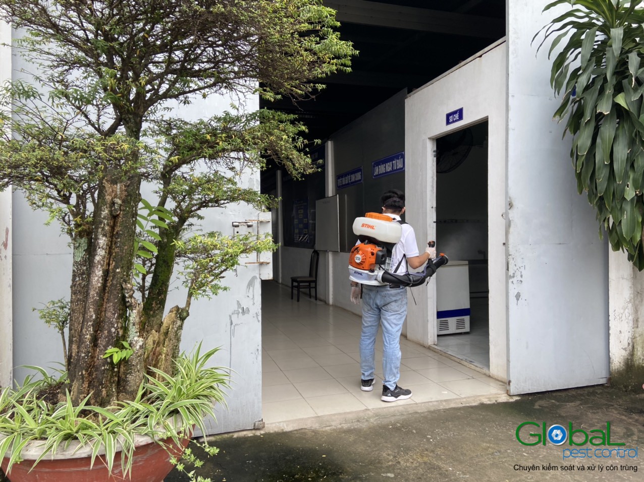 dịch vụ diệt côn trùng (6)