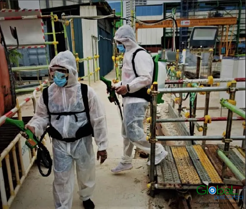 Dịch vụ pest control Khử trùng Toàn Cầu (10)