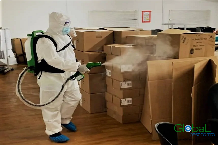 Dịch vụ pest control Khử trùng Toàn Cầu (17)