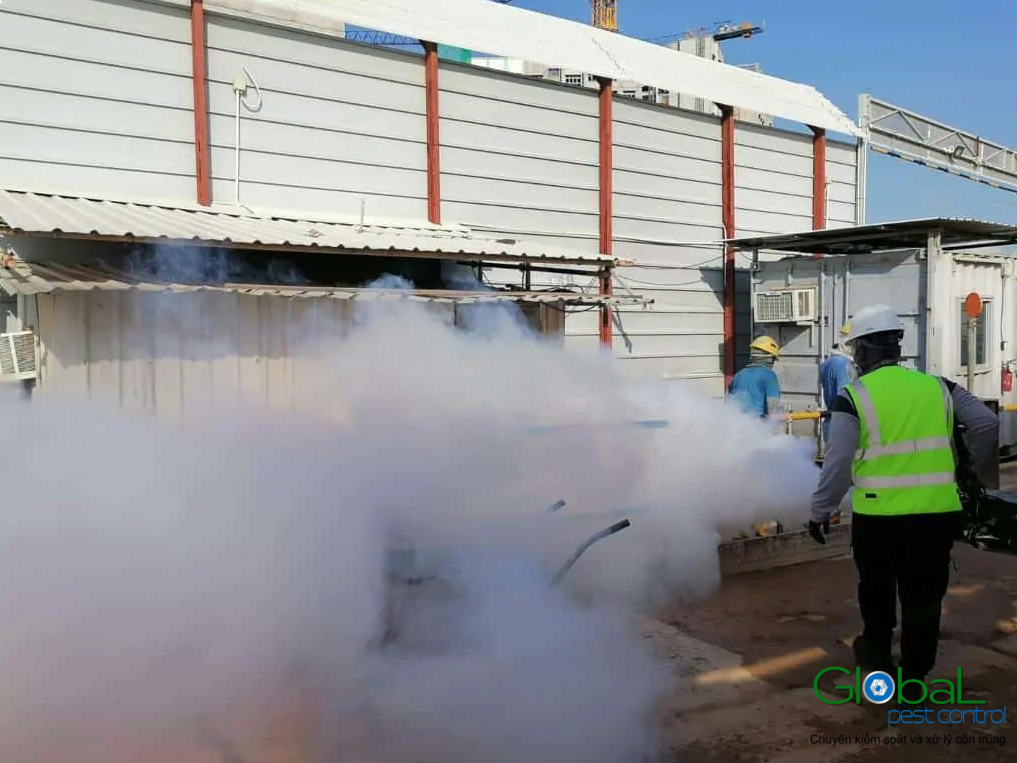 Dịch vụ pest control Khử trùng Toàn Cầu (38)