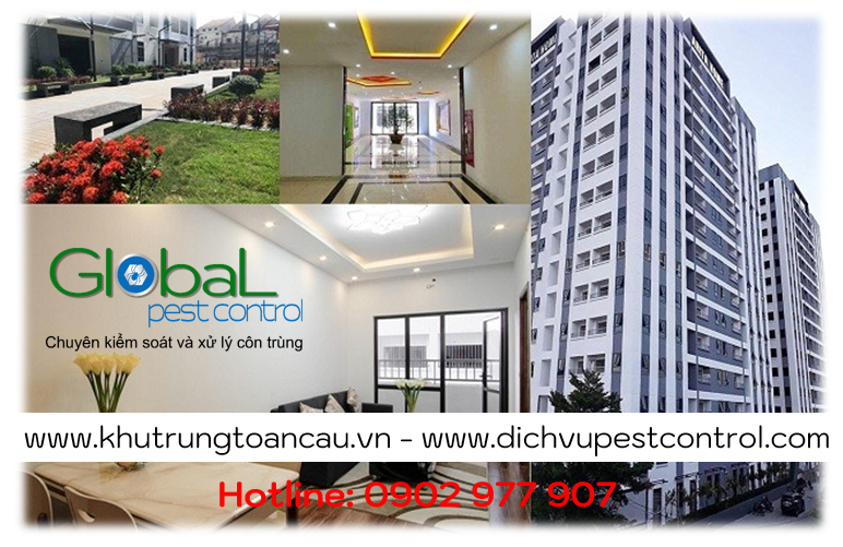Dịch vụ xử lý và diệt Chuột cho căn hộ, chung cư