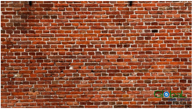 Kiến trong bức tường gạch