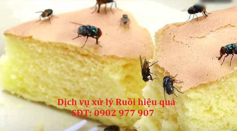 xử lý ruồi