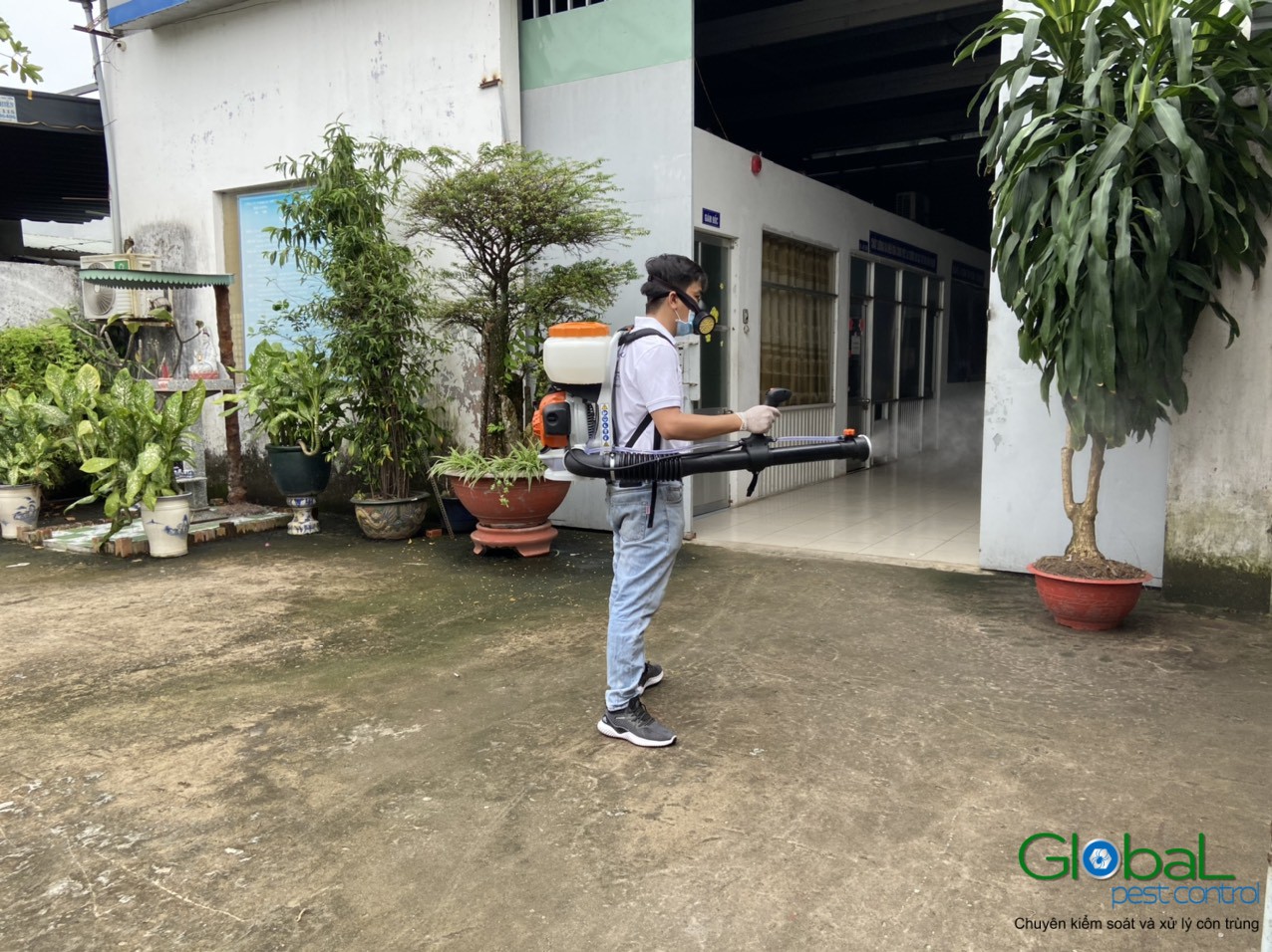 dịch vụ diệt côn trùng (2)