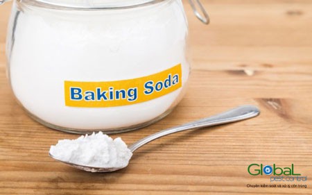 Diệt Kiến bằng Baking Soda, hướng dẫn xử lý Kiến hiệu quả tại nhà