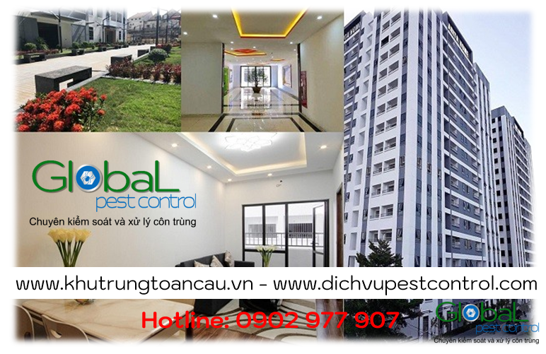 Dịch vụ xử lý và diệt Chuột cho căn hộ, chung cư