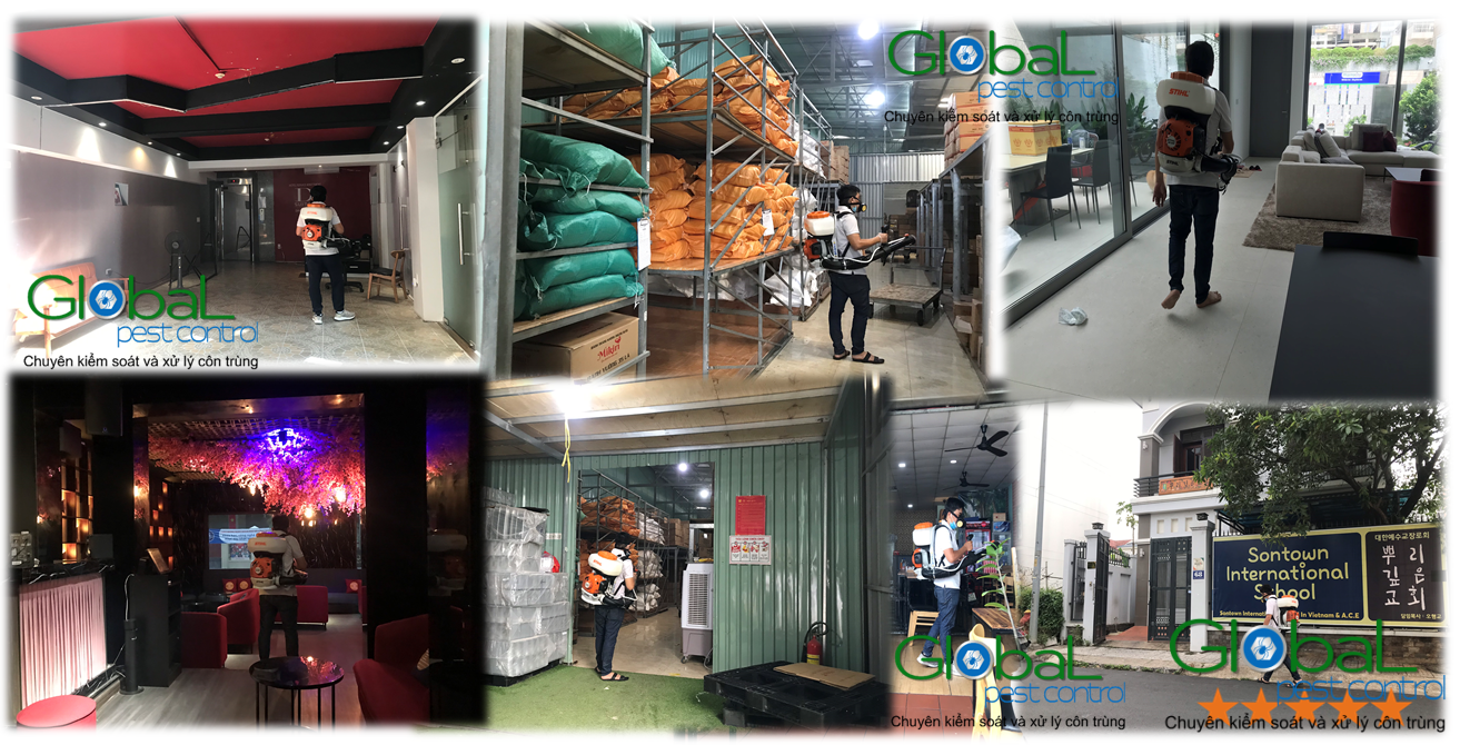 Dịch vụ phun thuốc khử trùng Phòng chống dịch hại trong khu vực