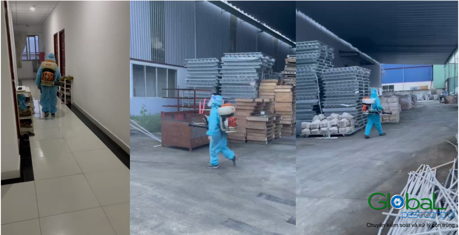 screenshot 1636965590