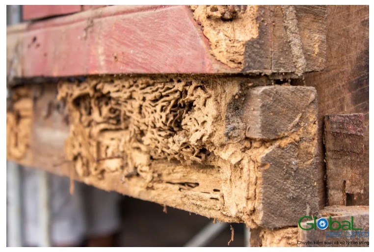 lam-the-nao-de-kiem-soat-va-xu-ly-moi-hieu-qua