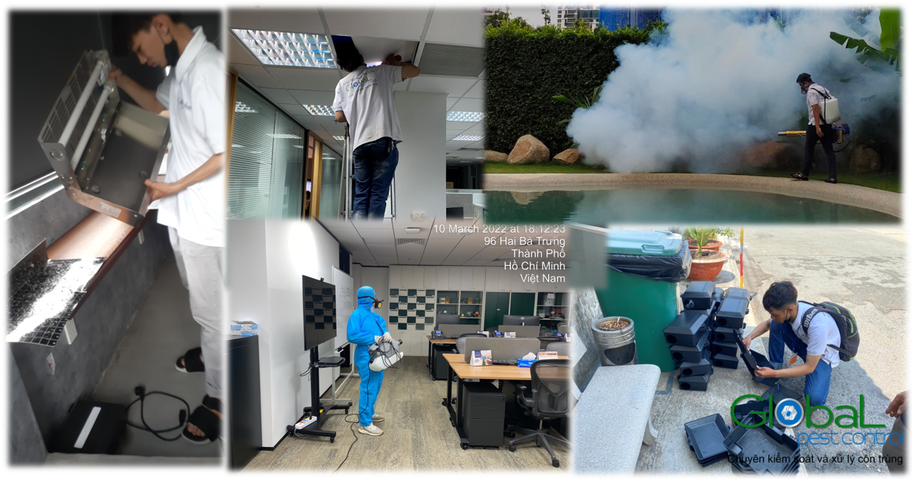 diệt côn trùng trường học 1