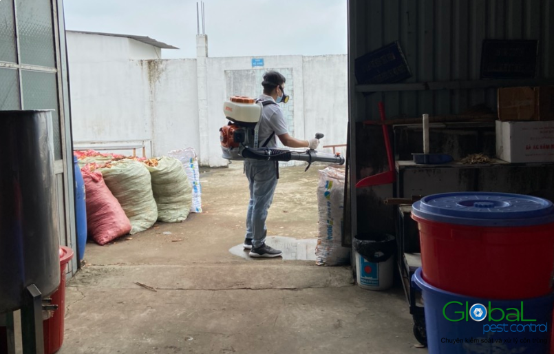 gián trong nhà hàng