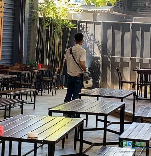 Dịch vụ diệt gián