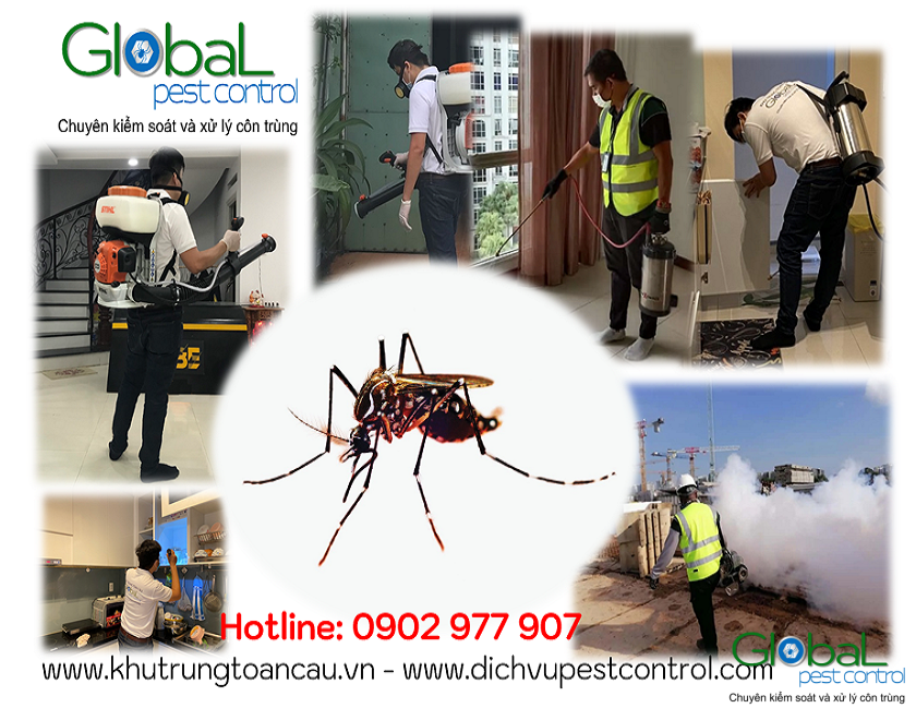 dich vu kiem soat xu ly diet muoi pest control