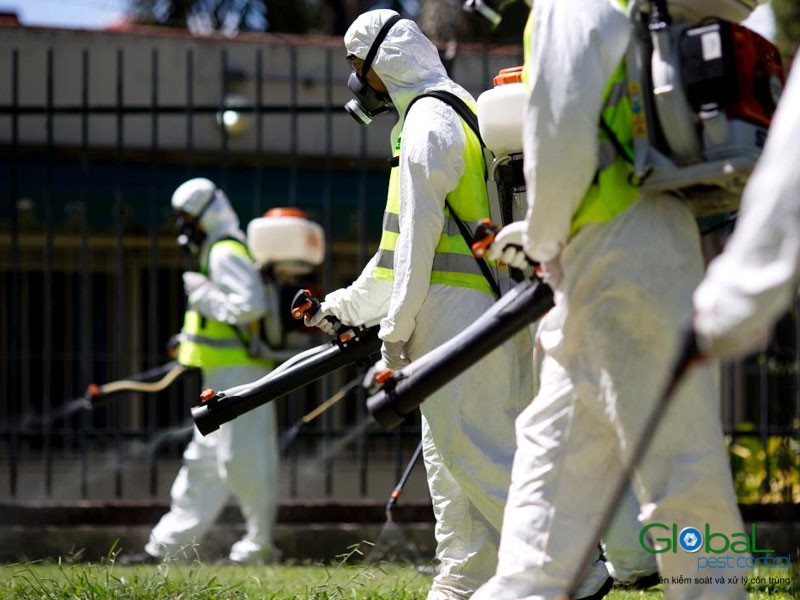 công ty diệt côn trùng vinapest (4)
