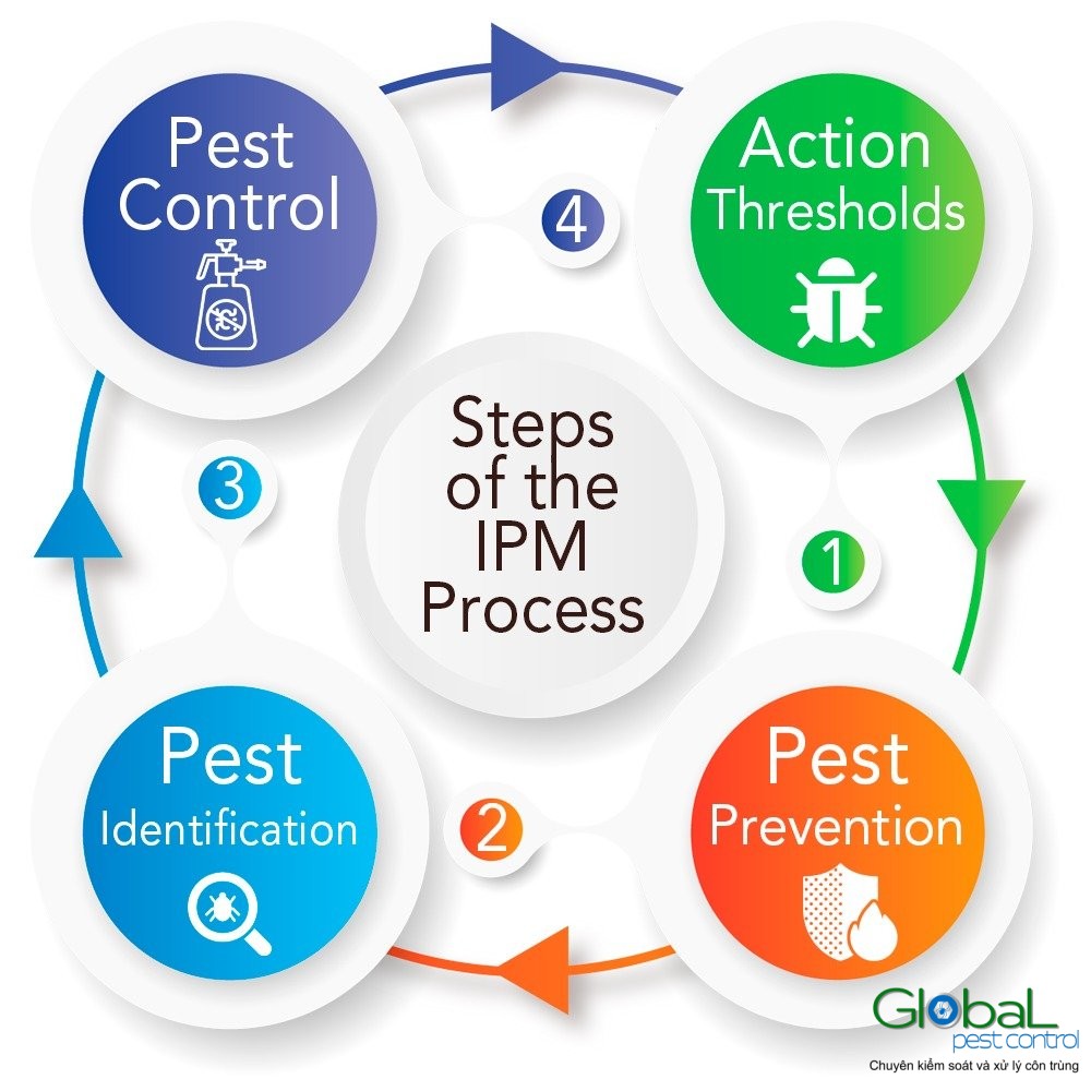 IPM Blog