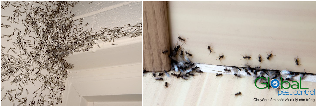 screenshot 1681828597