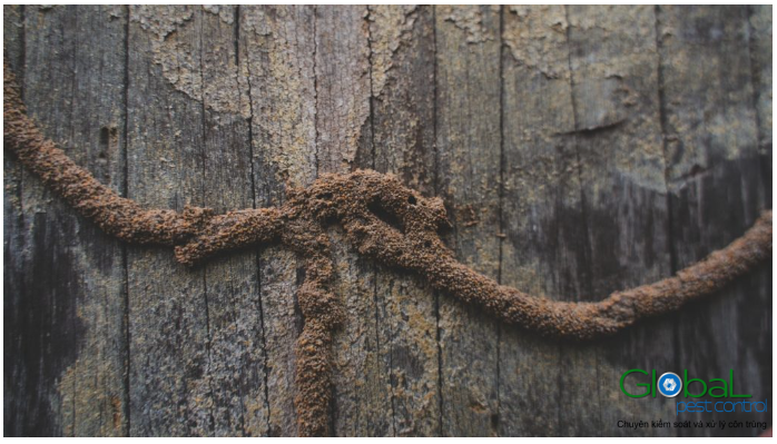 screenshot 1681832048