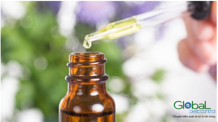 tinh dầu đuổi rồi